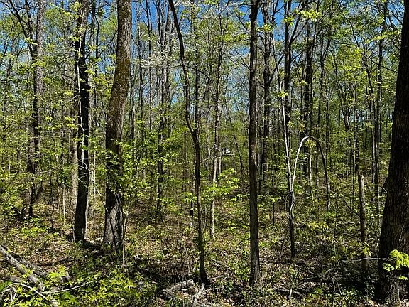 4th image of 0 Bark Dr