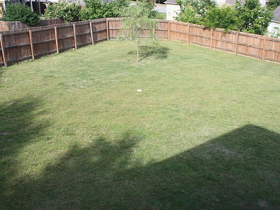 Level, Fenced Backyard
