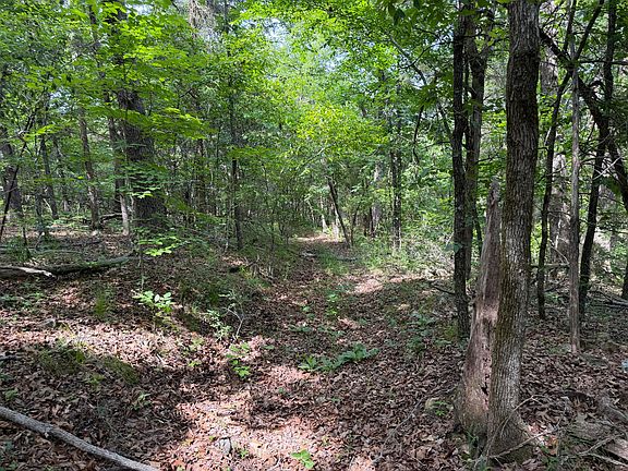4th image of 000 Moore Bend Road