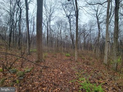 14358 Brown Rd, Sabillasville, MD, 21780