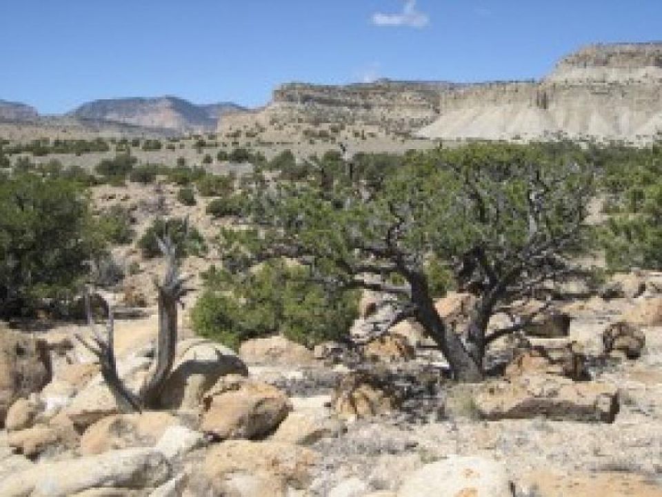 2nd image of See Remarks