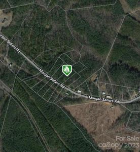 1646 Morgan Sellers Rd, Wadesboro, NC, 28170