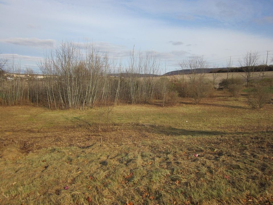 1st image of 195 Meadowsweet Dr