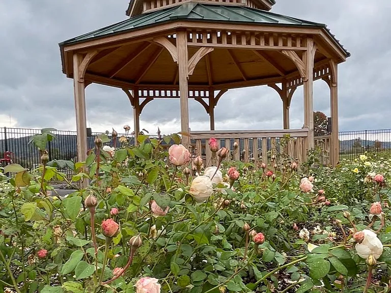 Rose Park