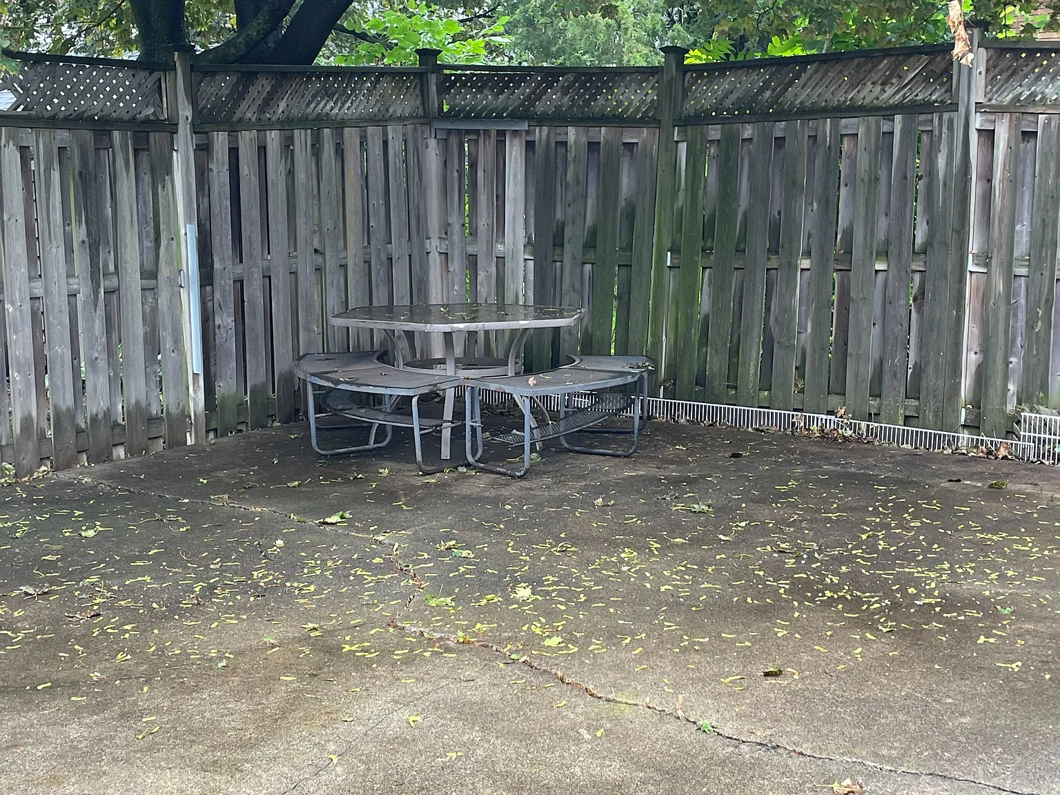 3 bed, $2,950 — Photo 2