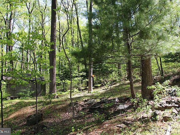 5th image of 4011 Blue Mountain Rd