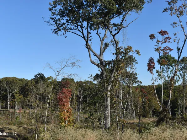 7 Marianna Rd Lot 7, Holly Springs, MS 38635