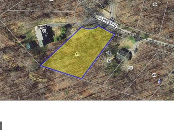 43 Forest Rd, Luray, VA 22835