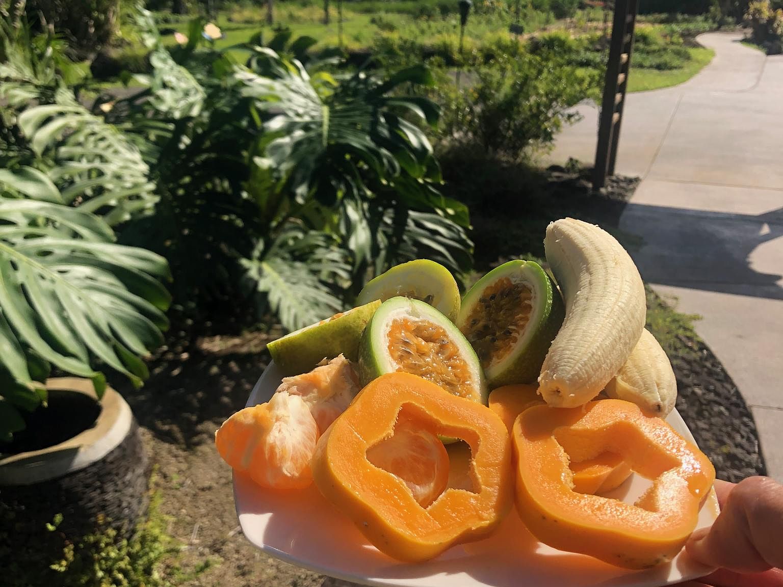 51 W Waipio Rd, Haiku, HI 96708 Zillow