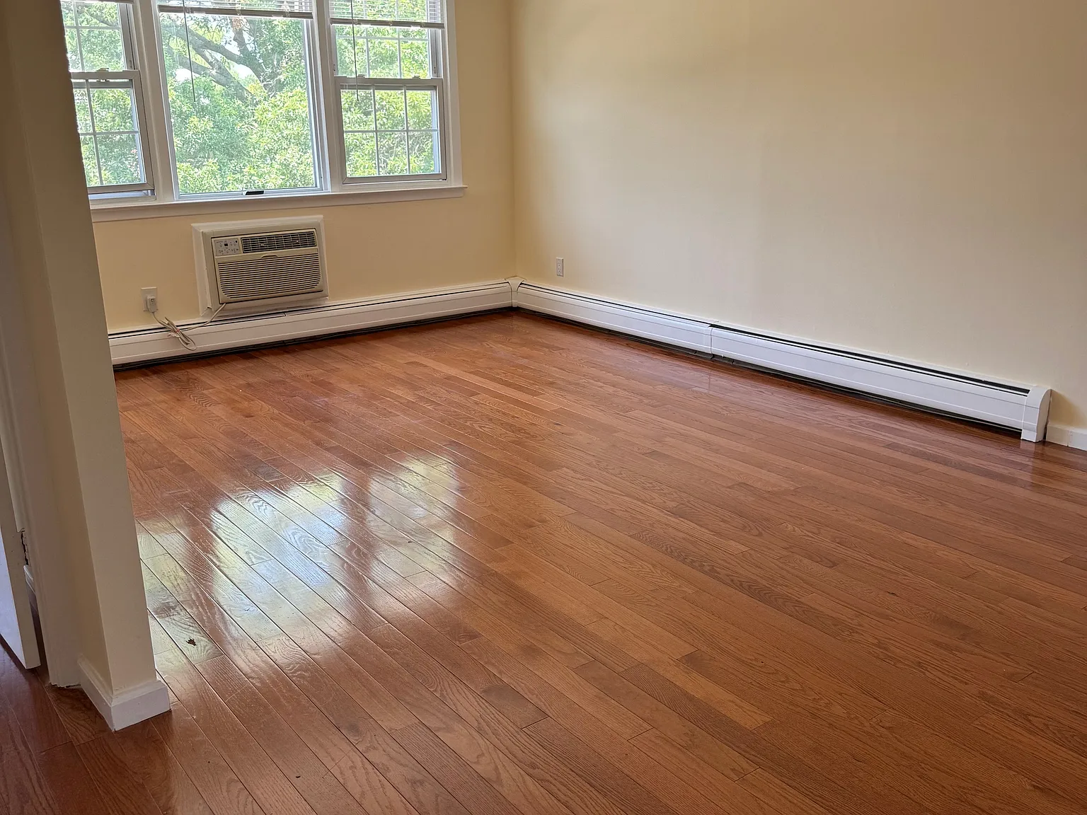 3 bed, 1.5 bath, 1000 sqft, $3,300 — Photo 4