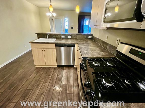 Dishwasher and sink