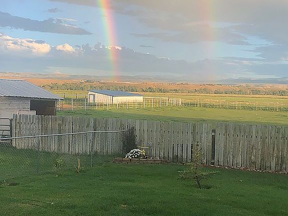 Pasture and backyard 