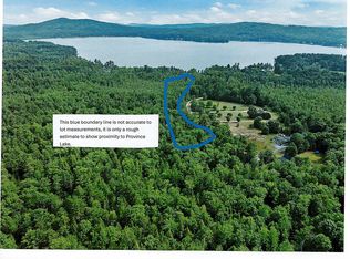 417-46 Stevens Rd LOT MAP417, Effingham, NH 03882