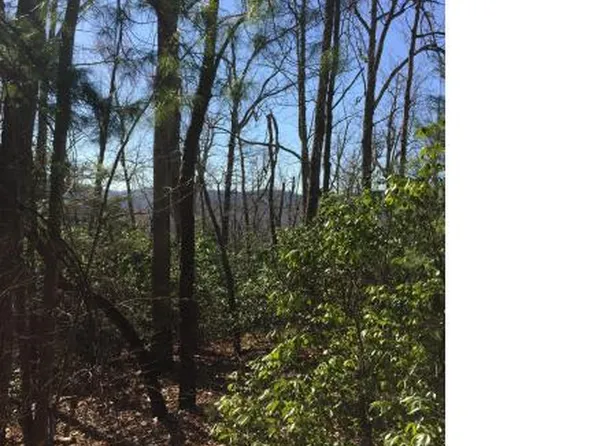 70 Overton Hills Dr, Hendersonville, NC 28739