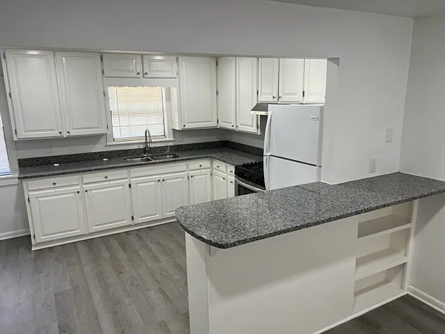 1 bed, 728 sqft, $1,000 — Photo 4