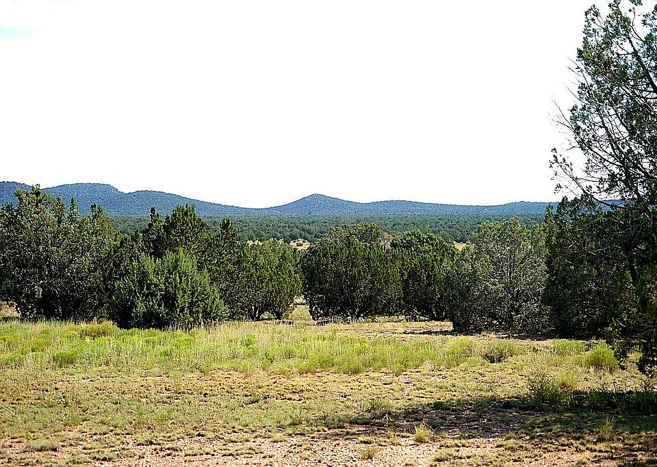 1st image of 36633 W Thirsty Burros Rd #937