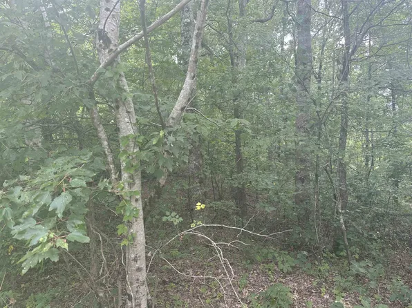 0 Pine Bluff Rd, Henderson, TN 38340