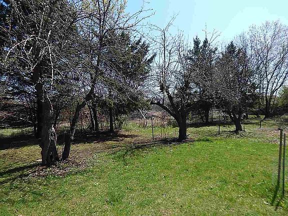 Fruit trees and concord grapes!