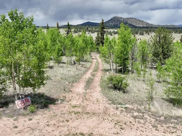 63 Ball Path, Jefferson, CO 80456