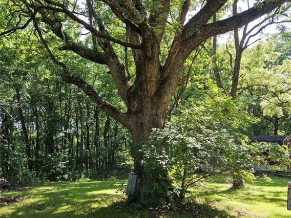 184 Silver Ridge Rd #3, Eureka Springs, AR 72632