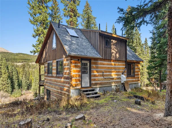 0516 County Road 674, Breckenridge, CO 80424