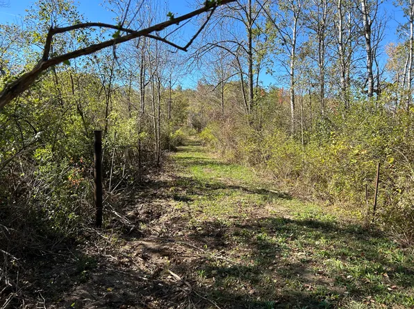 30th Ave, Remus, MI 49340