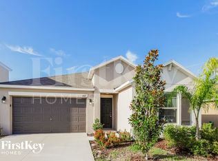 10512 Strawberry Tetra Dr, Riverview, FL 33578