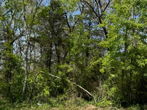 185 Julie Lane, Rockaway Beach, MO 65740