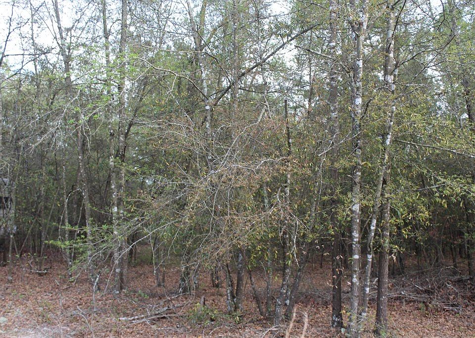 2nd image of 4358 1/2 Seago Rd