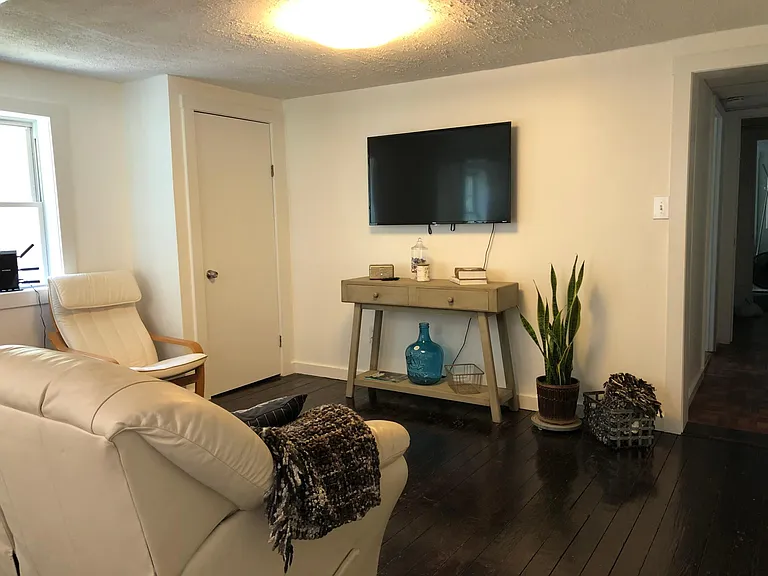 Roku TV. Ikea reading chair. Closet to left of TV.