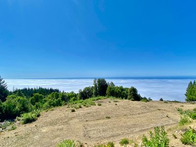 58 Shasta Ct, Whitethorn, CA, 95589