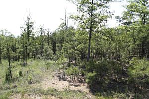 2nd image of 292 Wells Ln