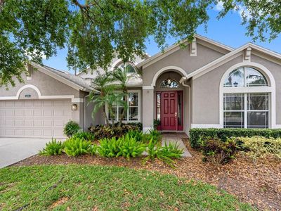 16522 Ivy Lake Dr, Odessa, FL, 33556
