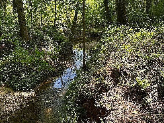 5th image of TRACT Pink Dill Mill Rd #A