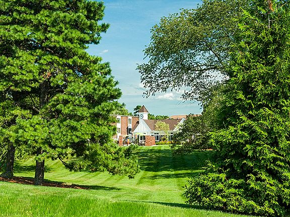 Green Vistas