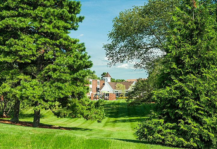 Green Vistas