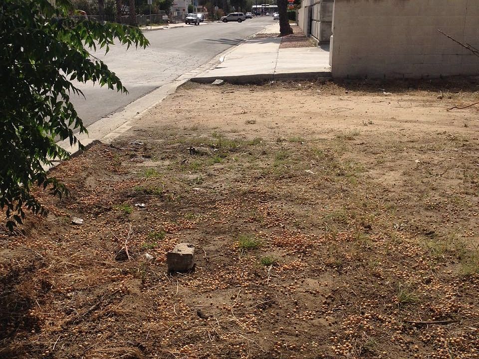 2nd image of 2ND Street #17