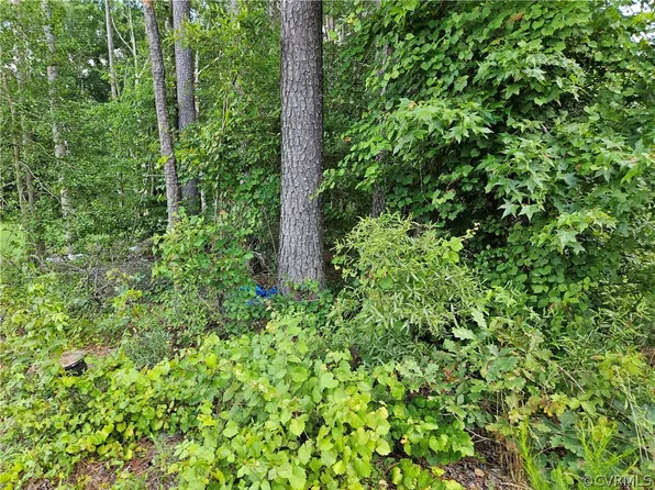 Freeman St, Hopewell, VA 23860