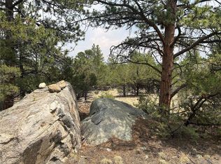 30160 Princeton Cir #9, Buena Vista, CO 81211