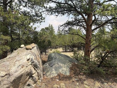 30160 Princeton Circle LOT 9, Buena Vista, CO, 81211