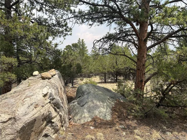 30160 Princeton Circle LOT 9, Buena Vista, CO 81211