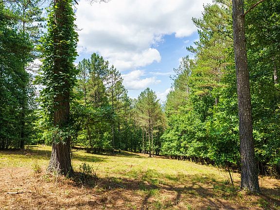 5th image of 20 Loftis Mountain Way
