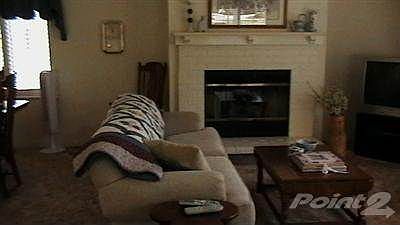 Cozy Fireplace
