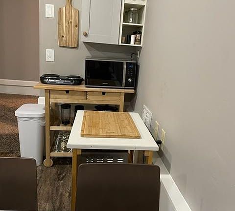 Microwave, toaster oven and hot plate