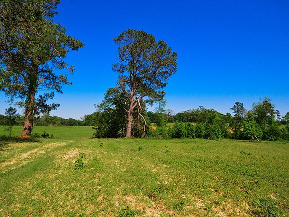 4th image of 5575 Fm 1638