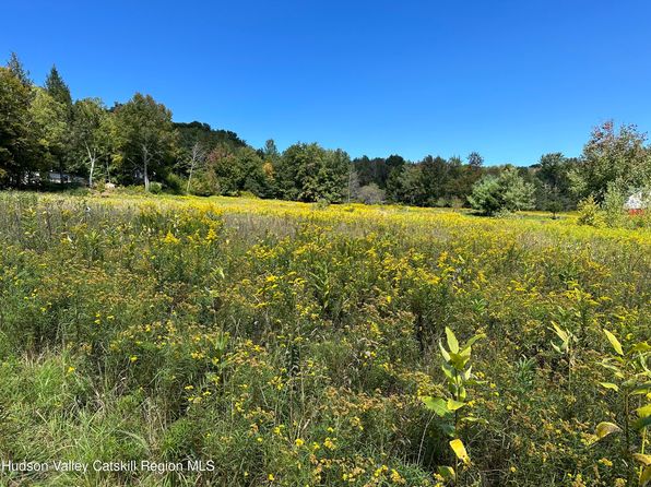 Tbd Todd Mountain Road, Arkville, NY 12406