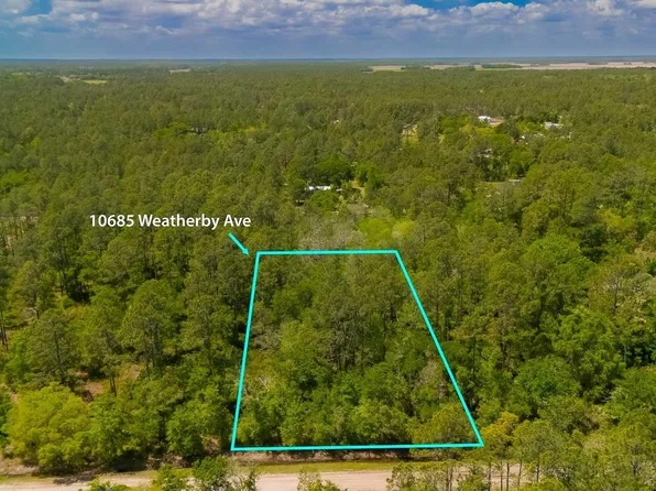 10685 Weatherby Ave, Hastings, FL 32145