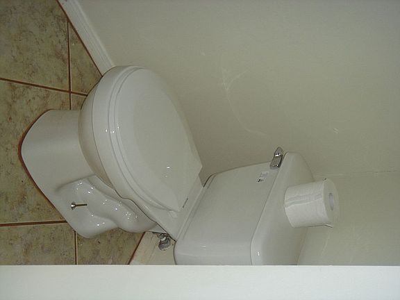 new toilets/fixtures