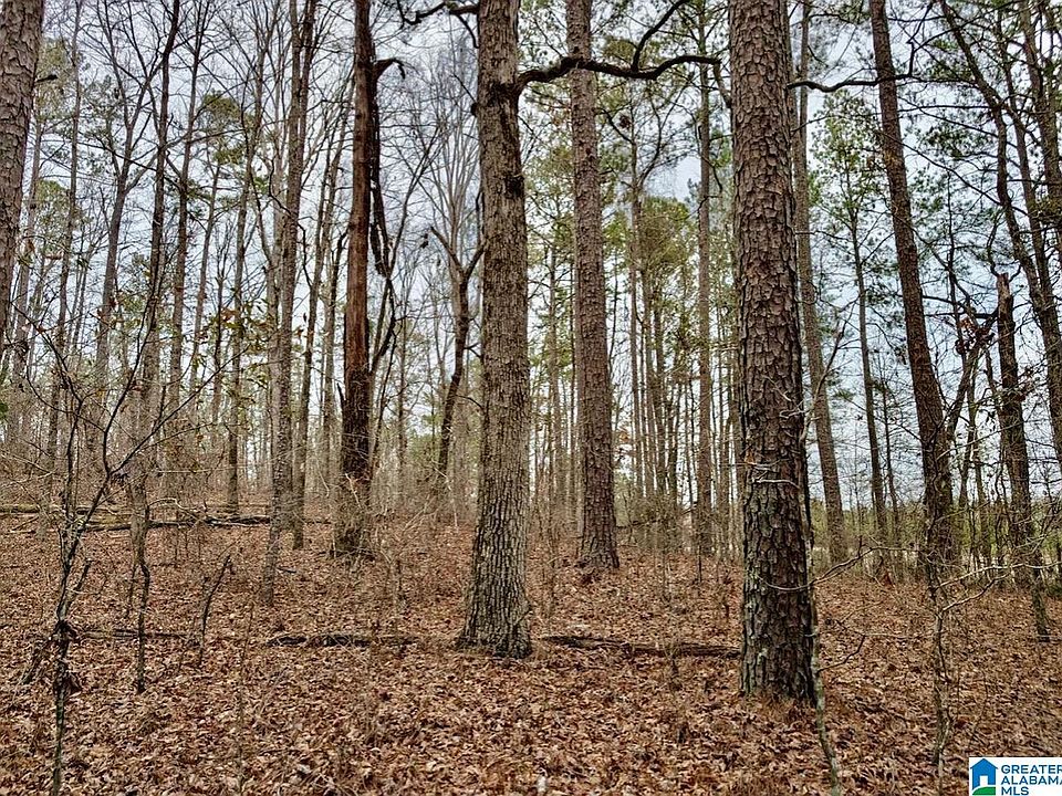 2nd image of 1911 Wolf Creek Rd #11