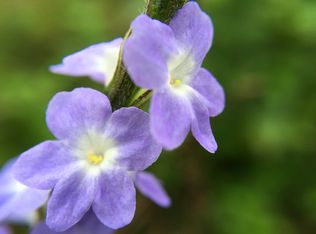 Lot 2765 2nd Ave, Keaau, HI 96749